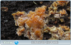 0_11426f_48da4089_orig.png