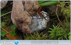 0_11cc17_c3b1ead1_orig.png
