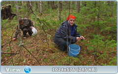 0_126446_feb48df2_orig.png