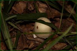 0_ef5c1_5f26255c_orig.jpg