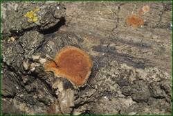 0_fd964_d3fd087b_orig.jpg