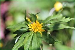 0_140956_4e02d5c8_orig.jpg