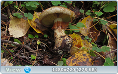 0_f14dd_fe64d1a8_orig.png