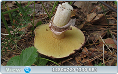 0_e9784_2014d86_orig.png