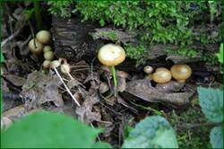 0_142e7f_b9410790_orig.jpg