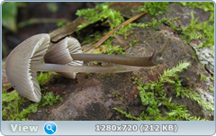 0_1130d4_fa6309e0_orig.png