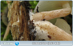 0_ead04_4fc31441_orig.png