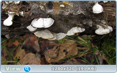 0_f6de0_42e231a9_orig.png