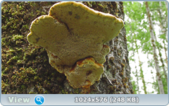 0_e7843_e2fde3b_orig.png
