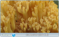 0_105670_3b611a2f_orig.png