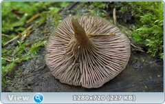 0_109303_d9a6e5bc_orig.png