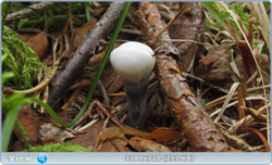0_10b248_69871094_orig.png