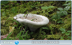 0_10b24e_292eb1b9_orig.png