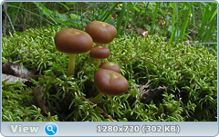 0_1096b2_b00c1edf_orig.png