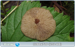 0_10aa66_870e220d_orig.png