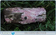 0_10ddf6_544e0249_orig.png