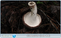 0_10de0c_e73663e4_orig.png