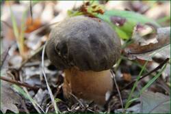 0_13187e_94894eab_orig.jpg