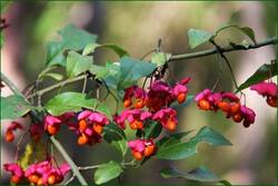 0_131884_eebee592_orig.jpg