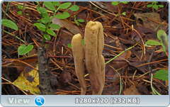 0_10de5f_9850766b_orig.png