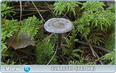 0_112acd_52a5ebc0_orig.png