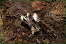 0_fe0b8_5560564f_orig.jpg