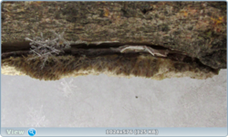 0_120955_e05865c2_orig.png