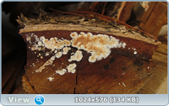 0_120973_7b21ce9e_orig.png