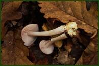 0_ef7b8_4b153795_orig.jpg