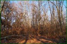 0_c5d63_89227e98_orig.jpg