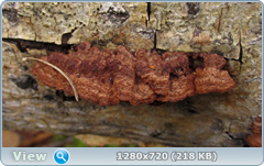 0_f6dd6_44a1262_orig.png