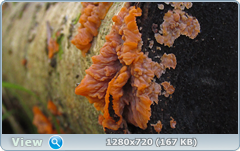 0_f30a3_72376755_orig.png