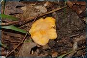 0_d23ec_d242bb55_orig.jpg