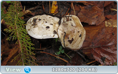 0_f2752_a54fdbeb_orig.png