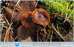 0_f30c3_68c83bd4_orig.png