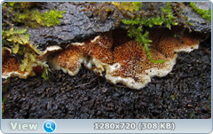 0_102806_695f3879_orig.png