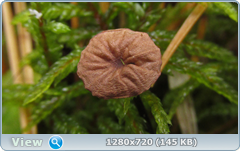 0_1150ae_f50199ac_orig.png