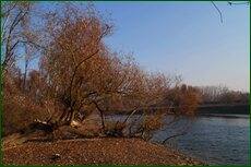 0_c5d6d_b406a1dd_orig.jpg