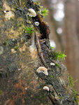 0_84fae_7b021ea6_S.jpg