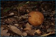 0_d23ca_c7371c82_orig.jpg