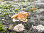 0_8628e_24c5b32d_S.jpg