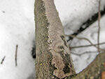 0_862b1_359e31e6_S.jpg