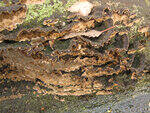 0_862c6_5f3a3466_S.jpg