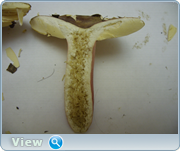 0_130543_4d86cef7_orig.png