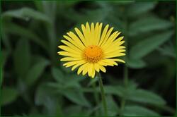 0_12180f_a3383ed3_orig.jpg