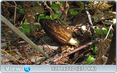 0_10562b_c22e2838_orig.png
