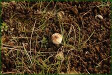 0_f5bc0_673356fc_orig.jpg