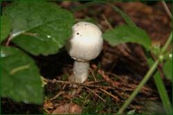 0_127a23_810eb476_orig.jpg