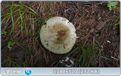 0_10d406_2991bebd_orig.png