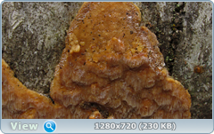0_1147c4_5d646658_orig.png